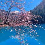 jiuzhaigou