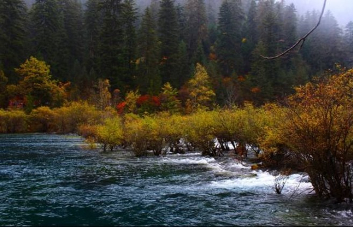 Jiuzhaigou's Autumn Charm and Delicacies - A Two-Day Budget Travel Journal